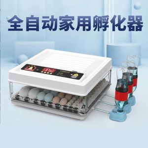 Incubateur entièrement automatique intelligent poussin <span class=keywords><strong>semis</strong></span> canard oie incubateur ménage incubateur pigeon perroquet trappe <span class=keywords><strong>oeuf</strong></span> fabricant - Product Image 3