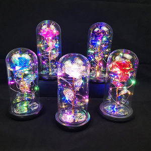 Rose Flower LED Night Light Phòng Ngủ Trang Trí Nội Thất Night Lamp Hoa Lights Lãng Mạn Ngày Valentine Món Quà Sinh Nhật Trang Trí Đèn Xmas - Product Image 4