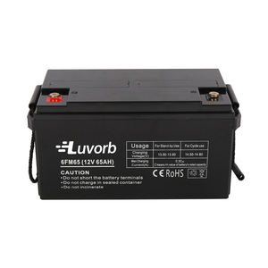 Luvorb chu kỳ sâu 12V 65Ah AGM gel chì axit Pin cho năng lượng mặt trời lưu trữ điện để sử dụng nhà - Product Image 1