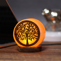 Arbre de vie changeant multicolore avec câble et lampe Led Forest Design Metal Basket Himalayan Rock Salt Lamp