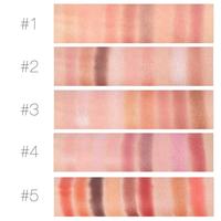 Duoduo DFA36 – Nouveaux tampons à paupières lumineux et métalliques personnalisés, poudre scintillante multichrome marron, 9 couleurs foncées, résistants à l'eau