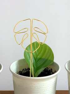 Poste de musgo flexible recubierto de plástico para plantas trepadoras de Monstera, estacas de soporte para jardín interior - Product Image 3