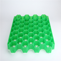 Grille de pavé en plastique HDPE, pour le parking, pente de la allée