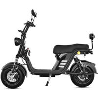 Scooter Urbain Sportif Haute Performance 2025 avec Moteur Brushless 60V 1000W, Vitesse 60km/h, Grandes Roues, Type Streetbike