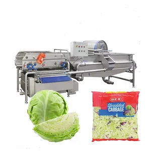 1000 KG Bagged salad leaves processing machine