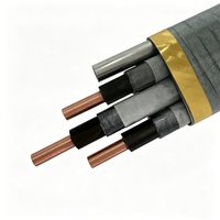 Cable ESP de Media Tensión QYEQ, Conductor de Cobre, Resistente a la Corrosión por Petróleo y Gas, Cable para Pozos, Clasificación IP65, 5kV