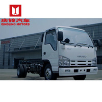 Camion benne à ordures ISUZU 4x2 avec benne arrière, moteur diesel Euro 4, boîte de vitesses manuelle, 3 tonnes, conduite à gauche/droite, personnalisable