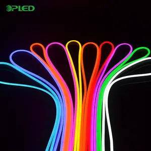 Silicone tira rope luces tubes 5V 12V RGB lampada personalizzata flex strip led neon lights neon led flex