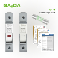 Composants de fusibles solaires haute tension DC 1000V, fusibles photovoltaïques 6A 10A 15A 20A 25A 30A pour la protection des systèmes solaires