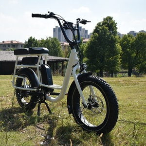 RaiderRover-40F double batterie 20 pouces <span class=keywords><strong>750W</strong></span> vtt vélo électrique hybride vélo électrique à gros pneus pour adultes - Product Image 6