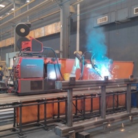 Brazo Robótico Colaborativo de Soldadura DREAMON con Motor de 220V, Construcción de Aluminio y Acero - Uso Industrial, Estación de Comercio de China