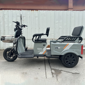 Le tout nouveau tricycle à grande puissance pour adultes avec le meilleur prix - Product Image 4