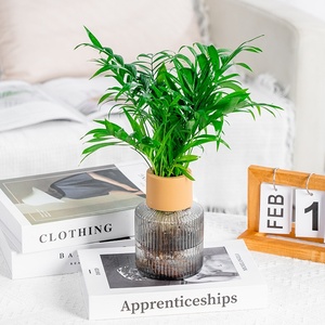 Vase à fleurs hydroponique en verre d'imitation en <span class=keywords><strong>plastique</strong></span> Transparent résine d'aromathérapie <span class=keywords><strong>Pot</strong></span> de couleur d'affichage des racines de table plante verte petite - Product Image 4