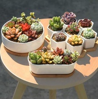 Vente en gros, promotion : Pots de fleurs géométriques blancs en céramique pour plantes succulentes, avec soucoupes en bambou, pour la maison et le jardin, livraison directe, fixation murale