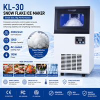 Machine à glace commerciale automatique à flocons de neige, refroidie par air, 30 kg/24h, vente en gros d'usine, alimentation électrique