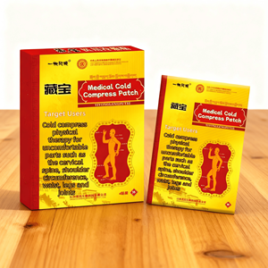 Parche Frío Personalizado con Logotipo OEM para el Alivio del Dolor Corporal, Portátil y Amigable con la Piel, Paquete de 4 - Product Image 4