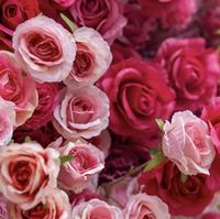 Mur de fleurs artificielles en soie 5D fait main, roses réalistes, 2,4 m de haut, roses au toucher réel, respectueuses de l'environnement, pour arrière-plan de mariage en extérieur