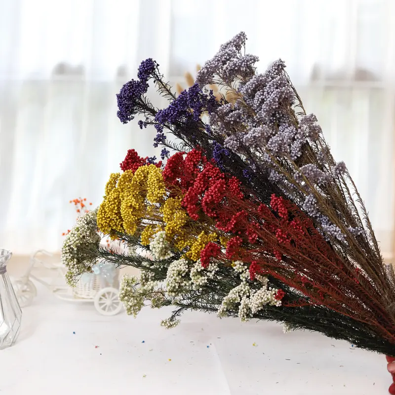 Produsen Grosir Sejumlah Besar Dekorasi Berkualitas Tinggi untuk Karangan Bunga dan Keluarga untuk Memasukkan Bunga Millet Alami