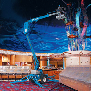 10 מ '12 מ' 14m 20m 30 מ '50 מ' דיזל מתנשא בום מעלית - Product Image 2