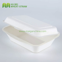Boîte alimentaire rectangulaire jetable en bagasse de canne à sucre sans PFAS, 7x5 pouces, pour pique-nique, type clamshell