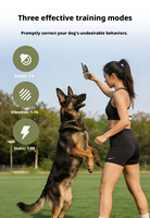 Collier de dressage pour chien à distance, en plastique, étanche IPX7, 3 canaux, rechargeable, pour l'entraînement d'obéissance des chiens en extérieur
