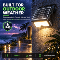 Lampu Sorot Tenaga Surya Garansi 3 Tahun LED Lumen Tinggi IP65 Tahan Air Multi-warna 3000K 4000K 600K Opsional Lampu Dinding Tenaga Surya