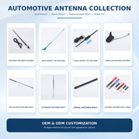 Antenne de toit universelle longue et fine pour voiture, avec base intégrée, couleur personnalisée, OEM pour auto, SUV, camion