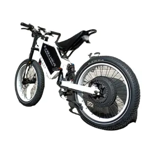 Toàn Bộ Đình Chỉ Mountain Surron Phổ Biến Không Có Gấp Lai Xe Đạp Chất Béo Lốp Xe Điện Cargo Bike