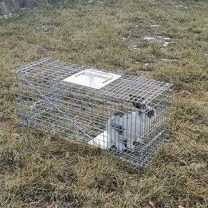 Piège pliable de la série originale pour ratons laveurs/mouffettes/marmottes/armadillos - Product Image 3