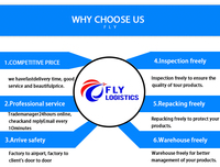 Shenzhen FLY Air Sea Transitaire Expédition DDU Service DDP Chine Vers Amérique Europe USA Canada Royaume-Uni Allemagne Italie Pays-Bas