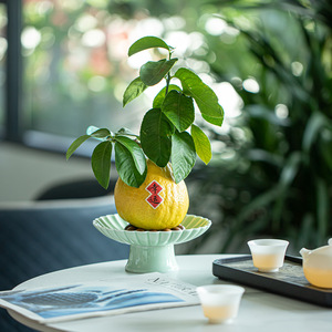 Assiette à fruits en céramique sur pied, forme de fleur, en porcelaine, style traditionnel chinois, plat à collation pour le thé, résistant à l'eau, plateau main de Bouddha - Product Image 2