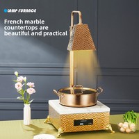 Chauffe-Plat Électrique Commercial en Acier Inoxydable, Réchaud de Luxe avec Lampe Chauffante, Or Rose, Écologique, Capacité 1 Qt