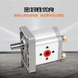 Pompe à engrenages hydraulique Shangze Hydraulics CBN F304 F306 F310 F314 F316 F320 F325 à montage sur bride, entraînement électrique, arbre vertical - Product Image 3