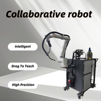 2025 FR5 Brazo de robot de soldadura de 6 ejes Brazo robótico colaborativo 5kg Carga útil Brazo de robot Cobot de 922mm