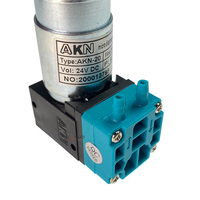Bomba de Tinta AKN de Buena Calidad, 24v DC, 100-300-400ml, 3.5w, Bomba de Tinta Neumática para Impresoras Flora/Phaetion/Infiniti/Galaxy/Gongzheng/Liyu