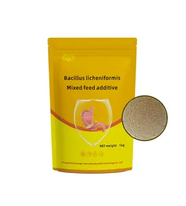 Chất lượng tốt thức ăn lớp Probiotic bacillus licheniformis sức khỏe động vật Probiotics và Prebiotics