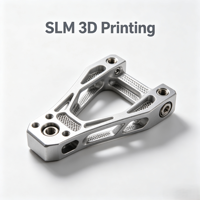 Service d'impression 3D FDM SLA SLS MJF Nylon Acier inoxydable 316L Alliage d'aluminium 6061 Fibre de carbone PC Prototypage rapide