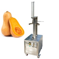 Meloen En Fruit Schilmachine Draak Fruit Peeling Zaad Verwijderen Pulpmachine
