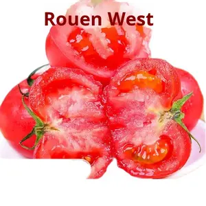 Tomates de Provence à <span class=keywords><strong>chair</strong></span> de sable du Yunnan 2.5kg Grandes tomates fraîches à peau de fer - Product Image 2