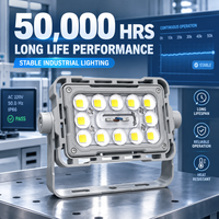 Projecteur LED extérieur commercial 60W IP66 IK08 à angle de faisceau multiple pour éclairage paysager