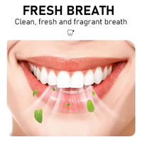 Poudre dentifrice au charbon actif Miswak, extrait naturel de bâton de Miswak, nettoyage doux, haleine fraîche, soin buccal