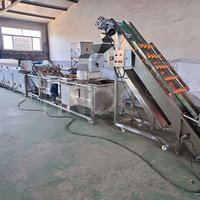 HNOC Machine de fabrication de frites entièrement automatique Petite machine à frire Yam Potato Finger Chip Maker Plant