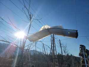 ที่คลุมป้องกันฝนแบบใสมีฟิล์มทอจาก HDPE มี<span class=keywords><strong>หลังคา</strong></span>สำหรับต้นผลไม้สำหรับสวนผลไม้ - Product Image 5