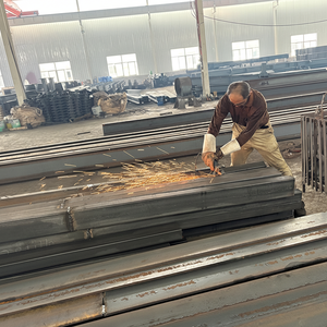 Bâtiments Chine Conception personnalisée Structures en acier à structure en mouton Maisons préfabriquées en bois - Product Image 1