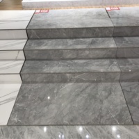 Carreaux de marches et de rehausseurs en marbre à deux couleurs, design marbre, 470*1200 mm, pour marches intérieures en marbre