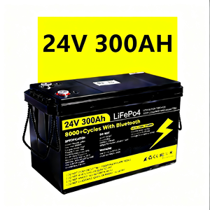 Pack de batteries LiFePO4 ODM/OEM 24V 100Ah 12V 36V 48V 200Ah 300Ah 8000+ cycles avec Bluetooth pour systèmes de stockage d'énergie solaire - Product Image 1