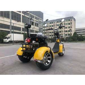 2020 EGS ส่วนใหญ่แฟชั่น City <span class=keywords><strong>Coco</strong></span> 3ล้อ10นิ้วไฟฟ้าสกู๊ตเตอร์สำหรับผู้ใหญ่รถจักรยานยนต์ไฟฟ้า - Product Image 6