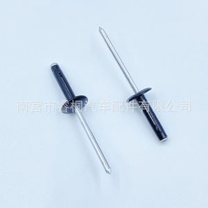 Rivets aveugles Shuangxuan 4 mm x 19 mm en acier pour la fixation des pare-chocs et des ailes de voiture - Product Image 2