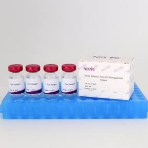 Varkensinfluenzavirus H1 Subtype Hi-Antigeen (Geïnactiveerd Hemagglutinine)-Voor Hi-Assay En Ontwikkeling Van Vaccins - Product Image 1