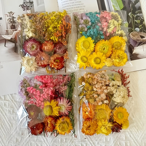Sobres Grandes de <span class=keywords><strong>Flores</strong></span> <span class=keywords><strong>Secas</strong></span> <span class=keywords><strong>y</strong></span> <span class=keywords><strong>Preservadas</strong></span> para Manualidades, Velas, Jabones, Resina, Relleno, Decoración de Bodas, Arreglos Florales - Product Image 4